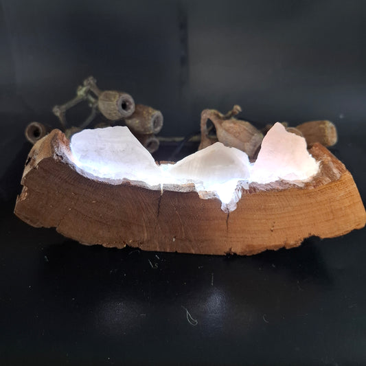 Rose quartz and Eucalyptus lamp