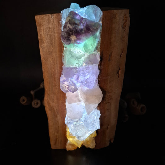 Upright Rainbow and Eucalyptus lamp