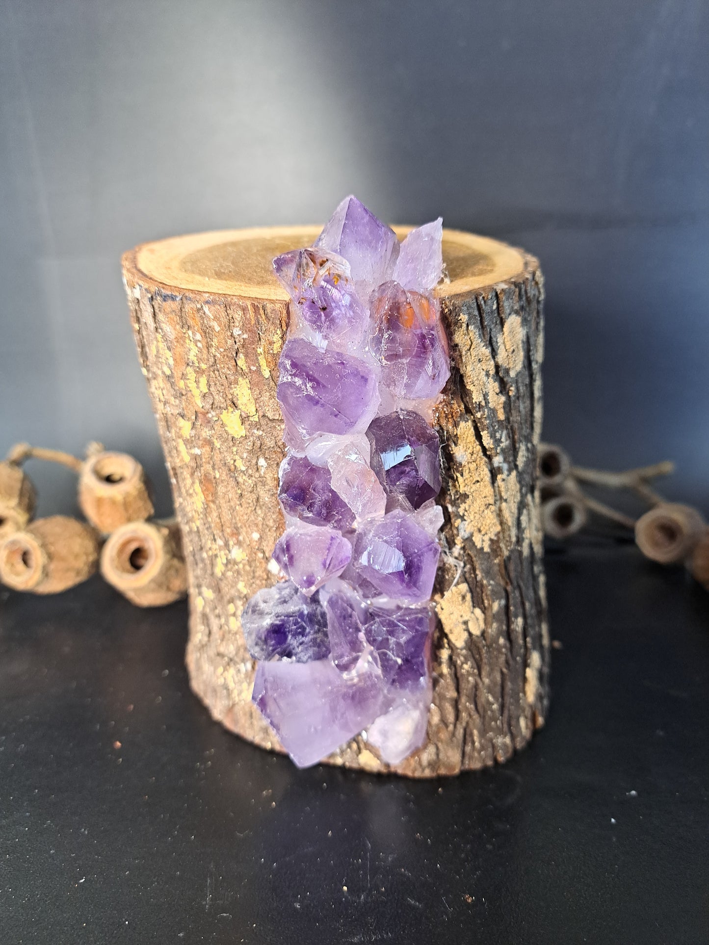 Amethyst and blue cypress stump lamp