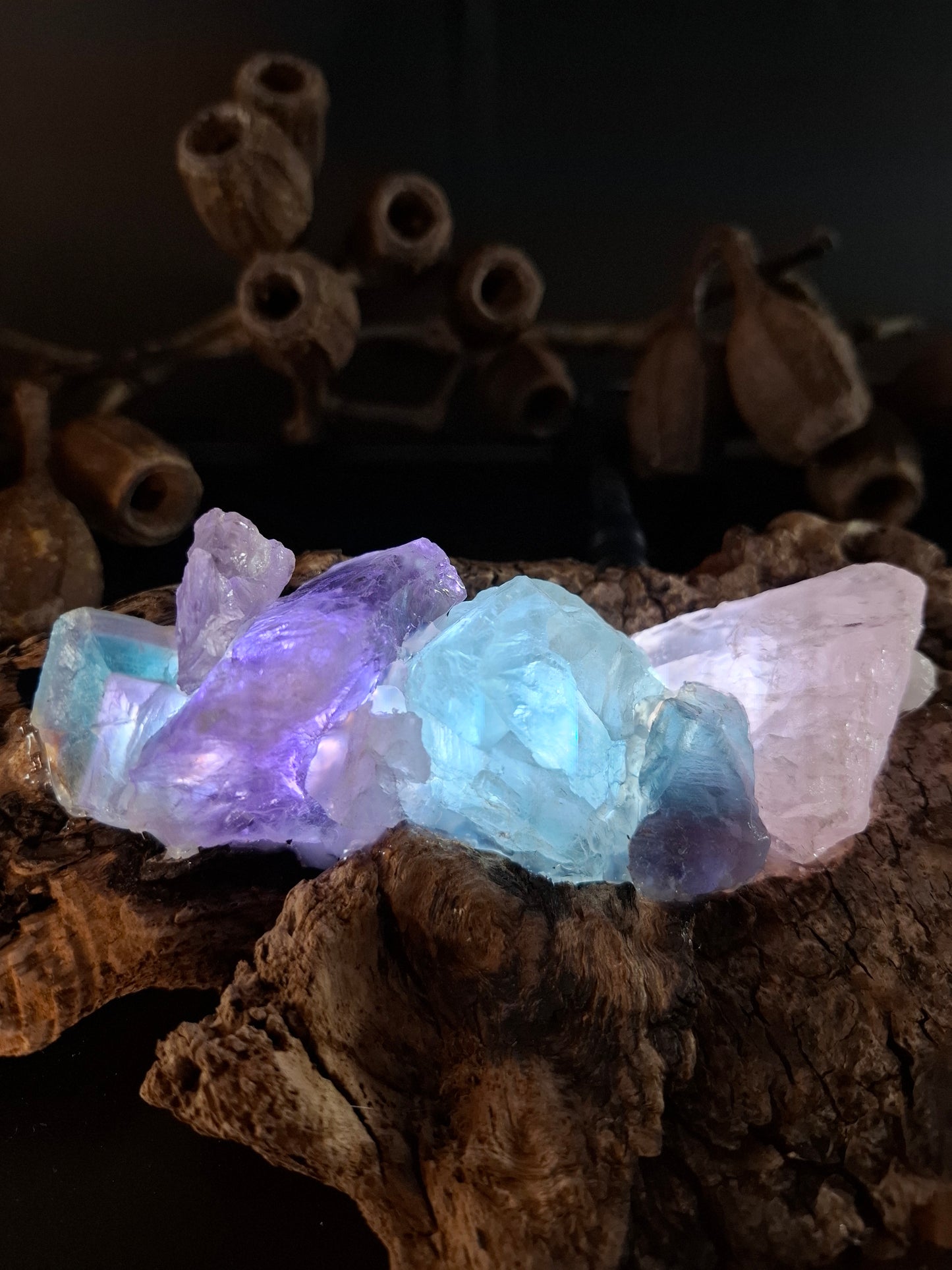 Colours of the ocean crystal and driftwood lamp