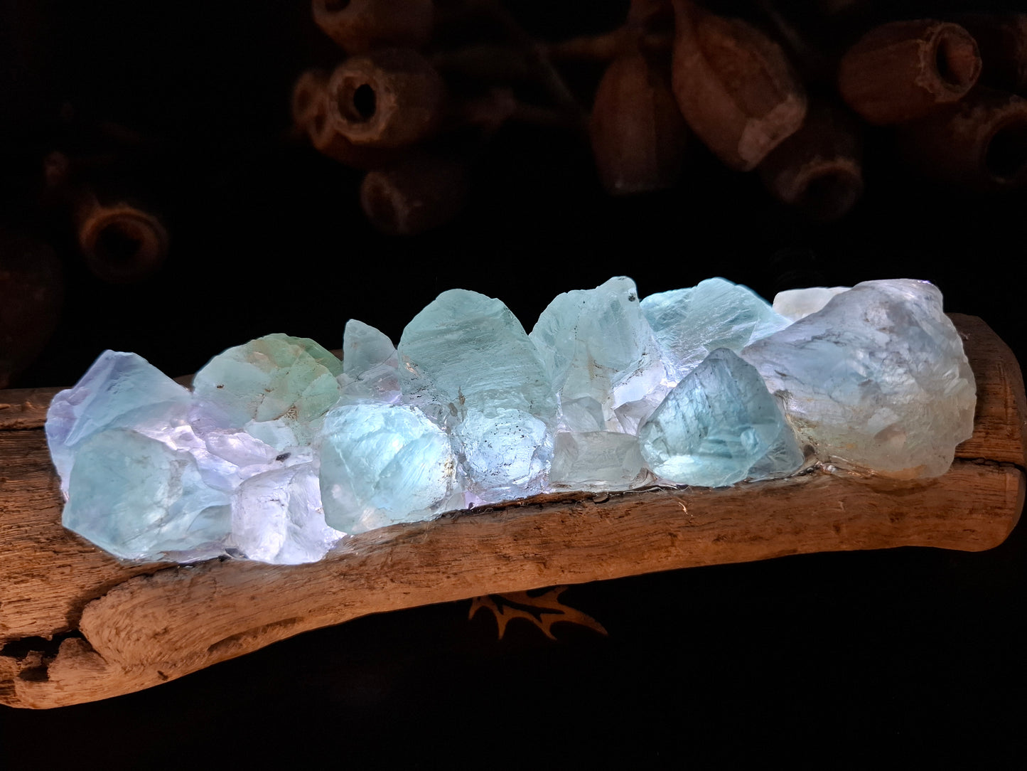 Fluorite and driftwood lamp