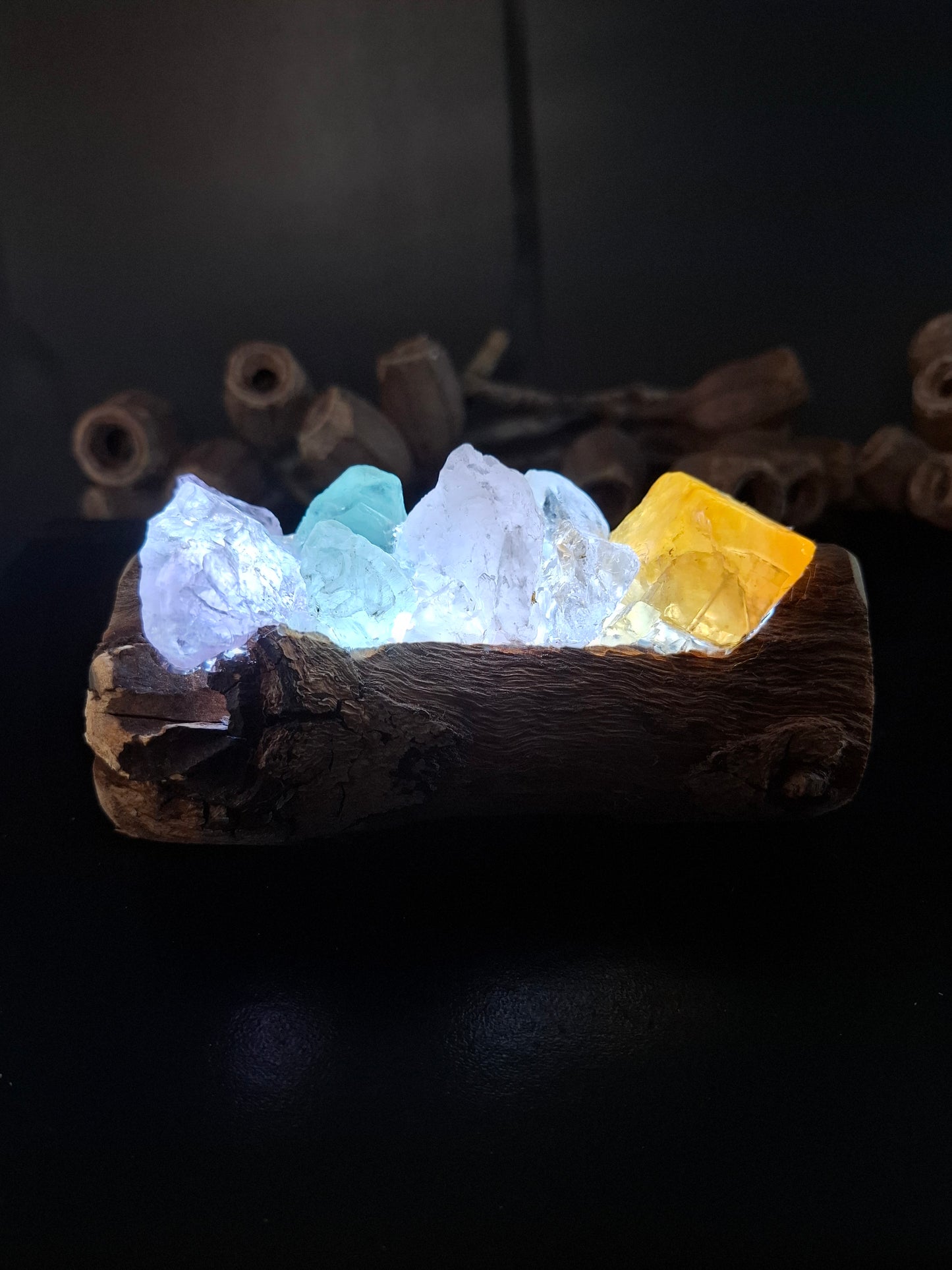 Mini rainbow and driftwood lamp