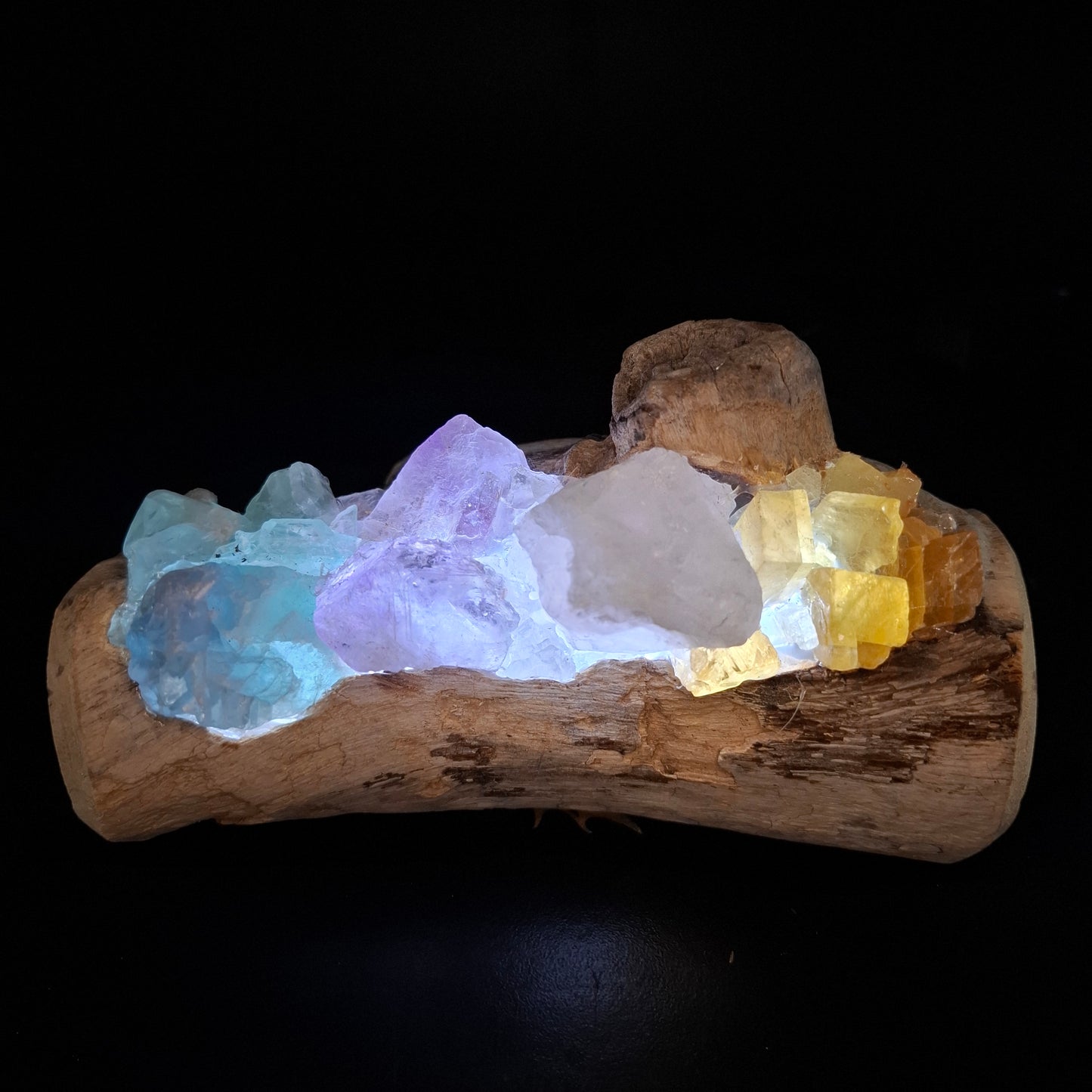 Rainbow crystal and driftwood lamp