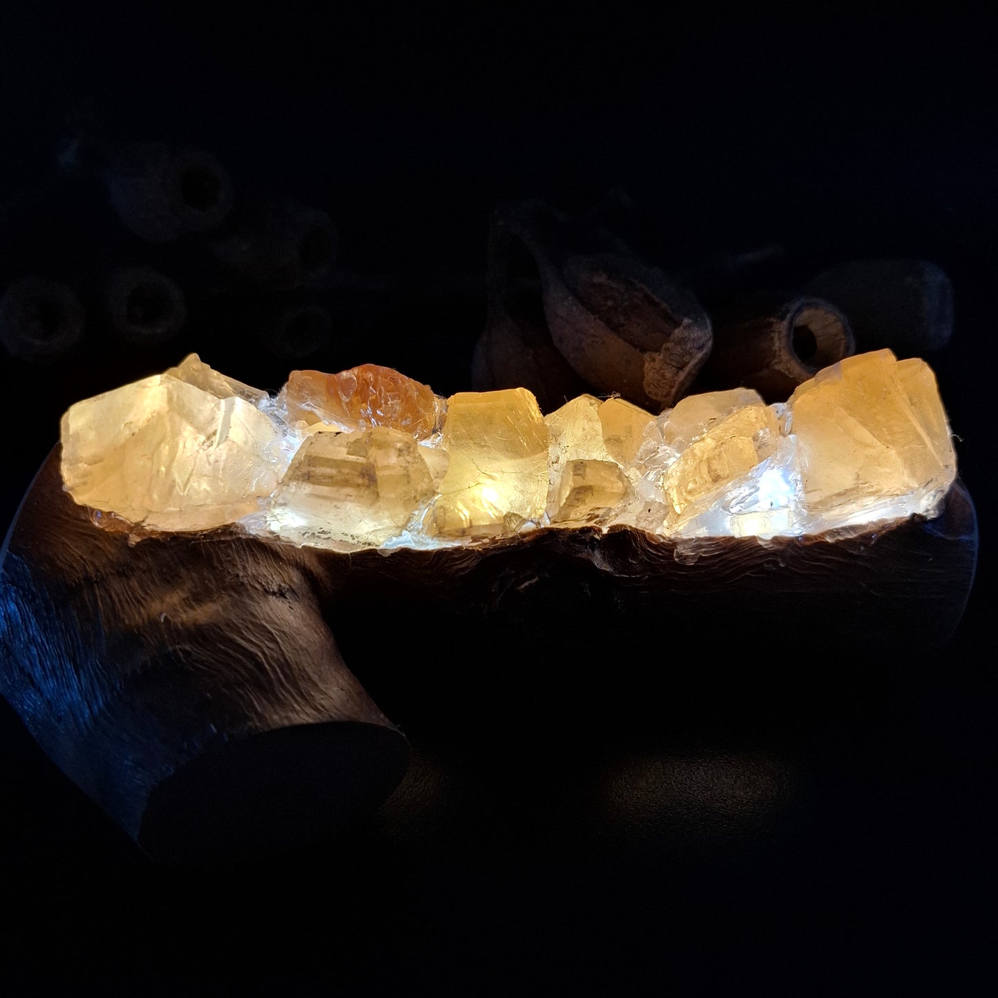 Honey Calcite Eucalyptus lamp