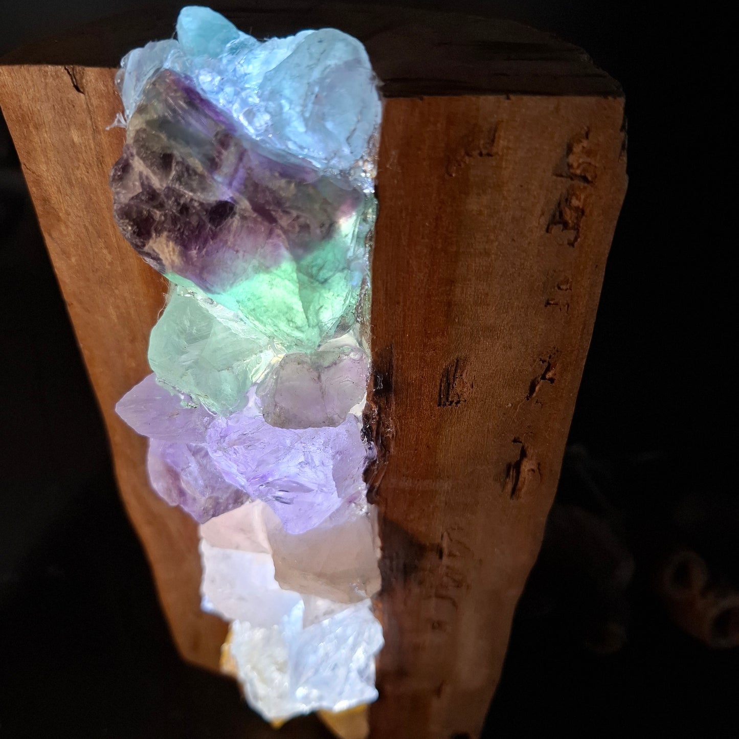Upright Rainbow and Eucalyptus lamp