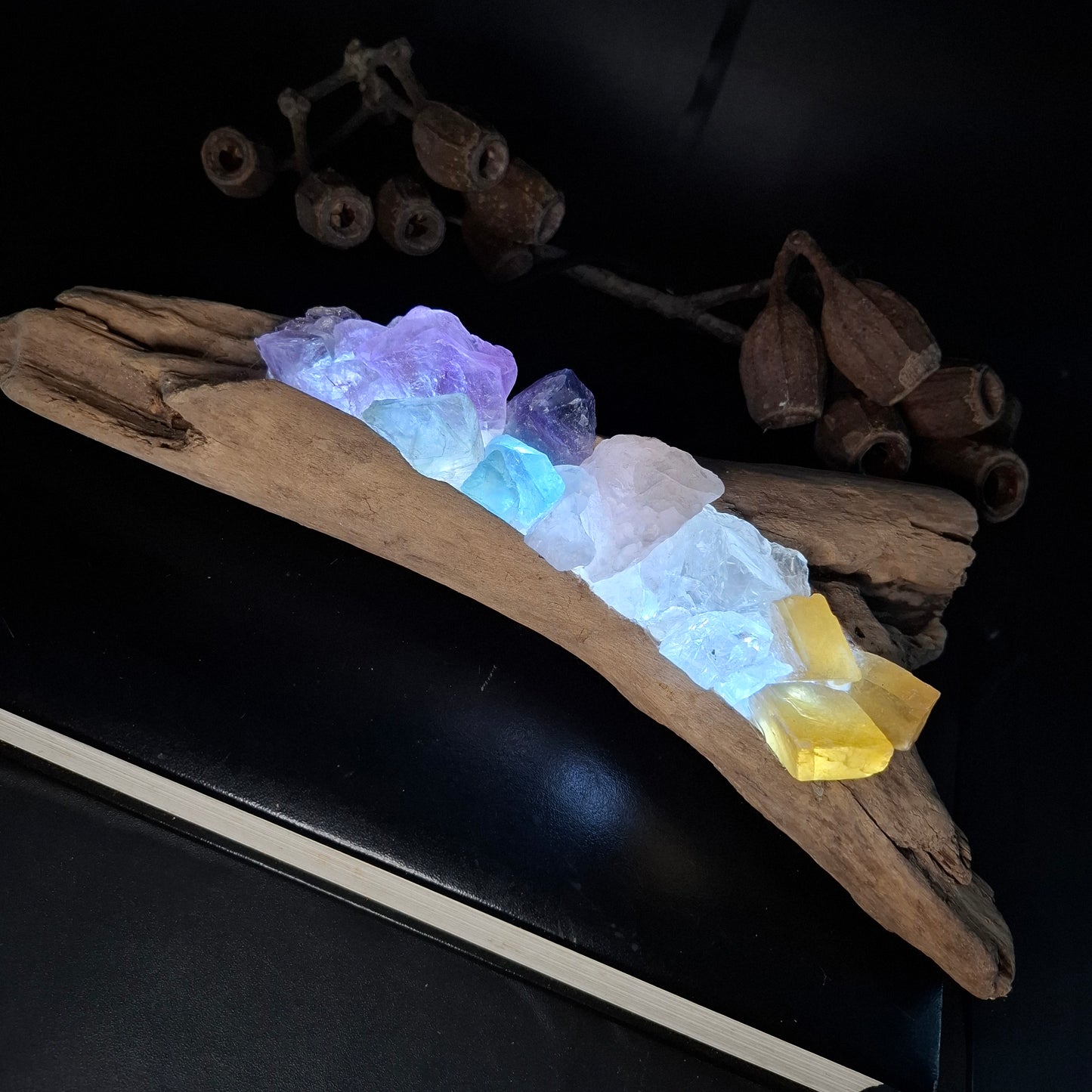 Rainbow driftwood lamp